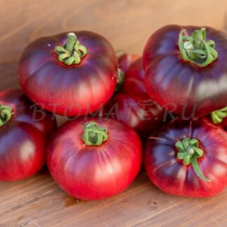 ГОЛУБАЯ БЕТТИ Blue BETTY