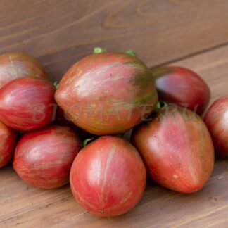 ГРААЛЬ Dwarf Grail