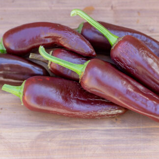 ХАЛАПЕНЬО БРАУН Jalapeno Brown