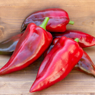 ХИСАРСКАЯ КАПИЯ