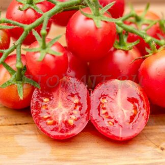 HONEY DROP TOMATOES