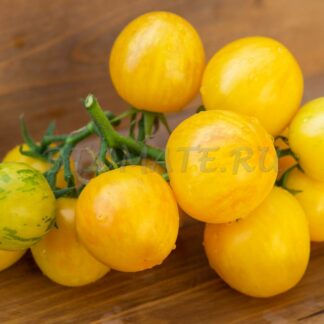 ТОПАЗ                      ХУАН-Ю