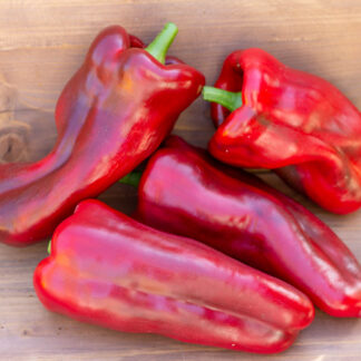 ИТАЛЬЯНСКИЙ САПОГ