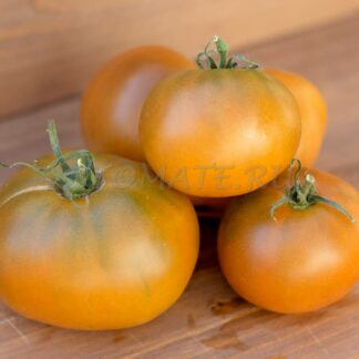 КИВАНИС  Kiwanis