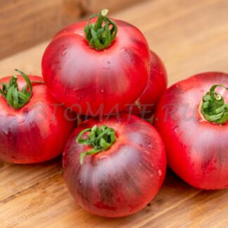 КОГТИ СИБИРСКОГО ТИГРА Sibirian Tiger Claws