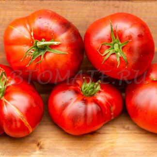 КАЛЕЙДОСКОПИЧЕСКОЕ СОКРОВИЩЕ Kaleidoscopic Jewel