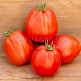 КРАСНАЯ ГРУША ФРЕНЧИ (RED PEAR FRANCHI, КАНАДА)