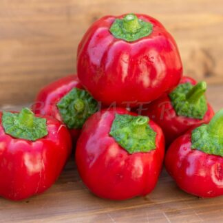 КРАСНЫЙ СЫР