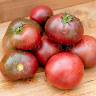 ЛАКОМСТВО ИЗАБЕЛЬ Dwarf Dainty Isabel