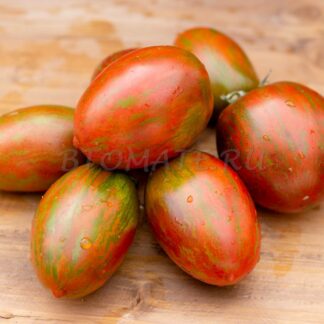 ЛЮБОВЬ ОДРИ Dwarf Audrey's Love