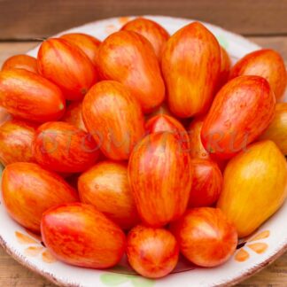 ЛЮК ФИШО Luc Fichoise