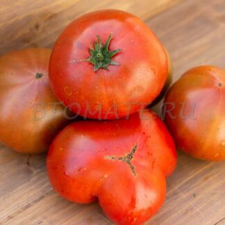 МАХАГОНИ Dwarf Mahogany