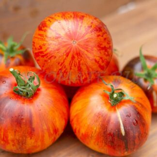 МЕЧТА АЛИСЫ Alise's Dream