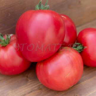 МИНУСИНСКИЙ БЕЗРАЗМЕРНЫЙ