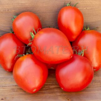 МИНУСИНСКИЕ БЫЧКИ СЕРДЦЕВИДНЫЕ