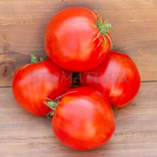 МИНУСИНСКИЕ ШАРЫ