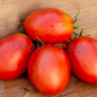 БОЧКОВОЙ МИНУСИНСКИЙ КРАСНЫЙ