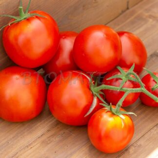 МИНУСИНСКИЙ ЯБЛОЧНЫЙ УСЫПНОЙ