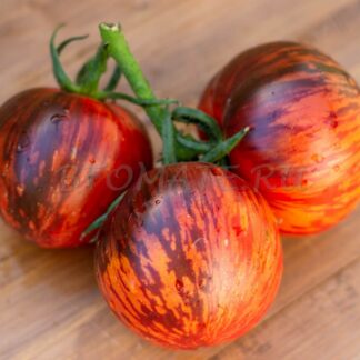 МУШКЕТЕРЫ  The Musketers