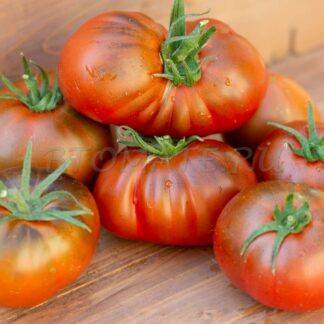 НЕИЗВЕСТНЫЙ БЛЕСК Unknown brilliance