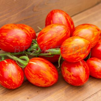 ПАСХАЛЬНОЕ ЯЙЦО