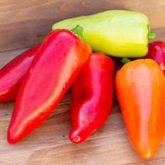 ПОЛАНСКАЯ БАБУРА