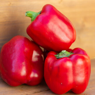 ПОЛУНОЧНЫЕ СНЫ Midnight Dreams