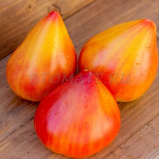 ПОЛУНОЧНОЕ СОЛНЦЕ Midnight Sun