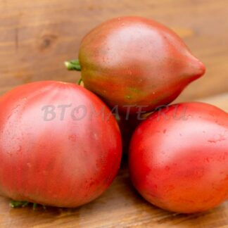 ПУРПУРНОЕ СЕРДЦЕ PURPLE HEART