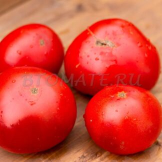 ПУСТЫННЫЙ ГОРОШЕК Dwarf Sturf Desert Pea