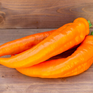 РАМИРО ОРАНЖЕВЫЙ