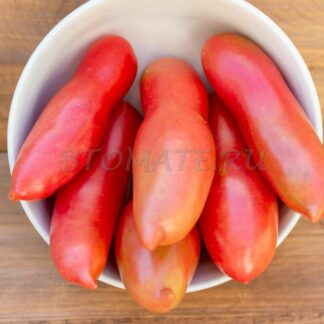 РОЗОВЫЙ КЛЫК