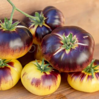 САРТ РОЛУА Sart Roloise