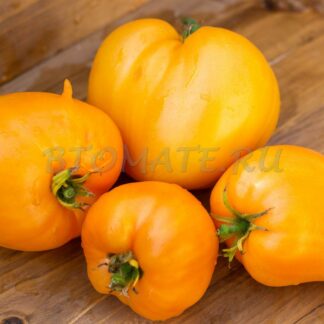 СЕРДЦЕ АШХАБАДА