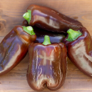 СЛАДКИЙ ШОКОЛАД