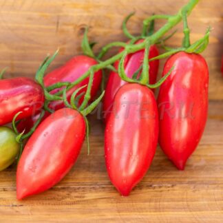 СЛИВКА ГУРМАН