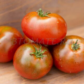 СМЕХ КУКАБАРРЫ Dwarf Kookaburra Cackle