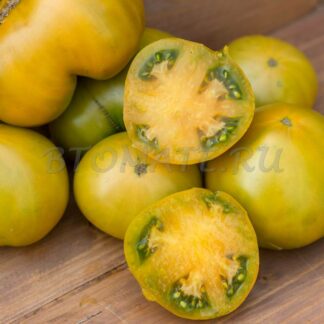 СОВЕРШЕННЫЙ Dwarf Parfait