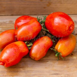 СПЕКЛИ Dwarf Speckly