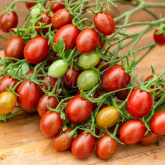 СТОРМИН НОРМАН Stormin Norman