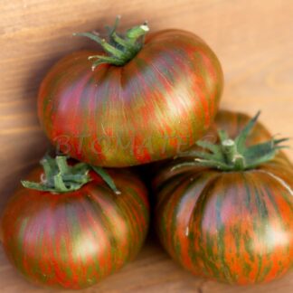 СТРАННАЯ ВЕЩЬ ДЕВУШКИ Girl Girl's Weird Thing