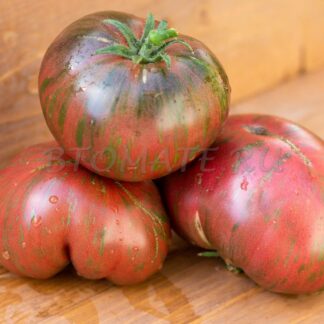 СТРИНГИ Dwarf The Thong