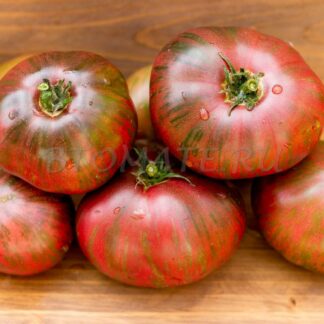 ТЕНЕССИ СУИТ Dwarf Tennessee Suited