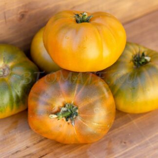 УЛУРУ ОХРА Dwarf Uluru Ochre