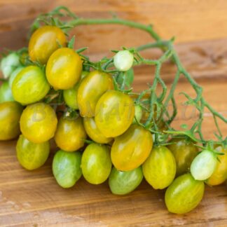 ЯНТАРНЫЕ КЛАВИШИ Amber Keyes