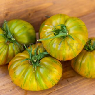 ЯРСОН 18/3 Jarson 18/3