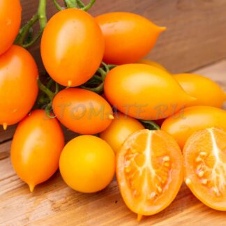 ЮСТИНА Justyna