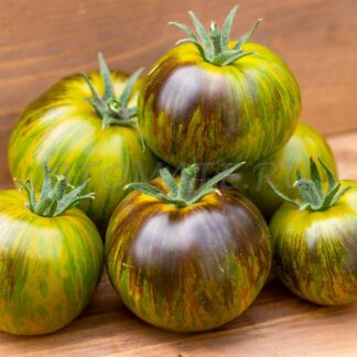 ЗЕЛЕНАЯ БОГИНЯ КСАНАДУ Xanadu Green Goddess