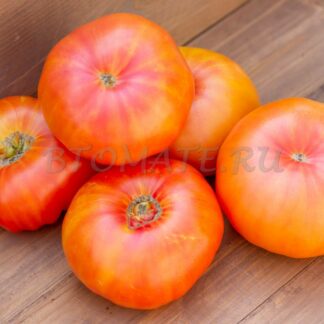 ЖЕЛТЫЙ КАМЕНЬ Yellow Stone