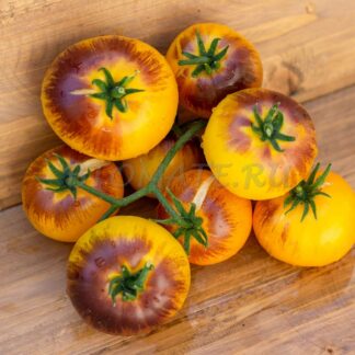 ЗОЛОТОЙ АМЕТИСТ